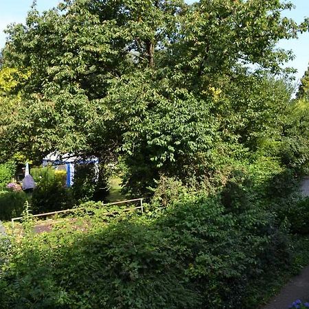 4 Sterne Ferienwohnungen Lavendel Brueggen Bruggen  Dış mekan fotoğraf